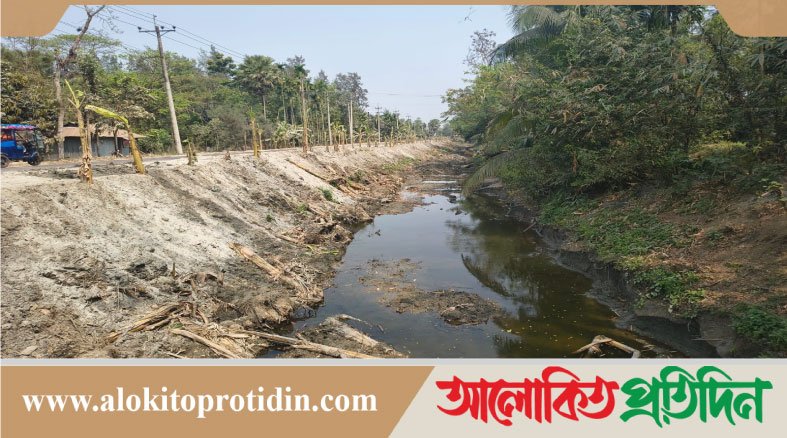 সড়ক নির্মাণে অনিয়মের অ*ভিযোগে নোয়াখালীতে ঠিকাদারী প্রতিষ্ঠানকে চিঠি