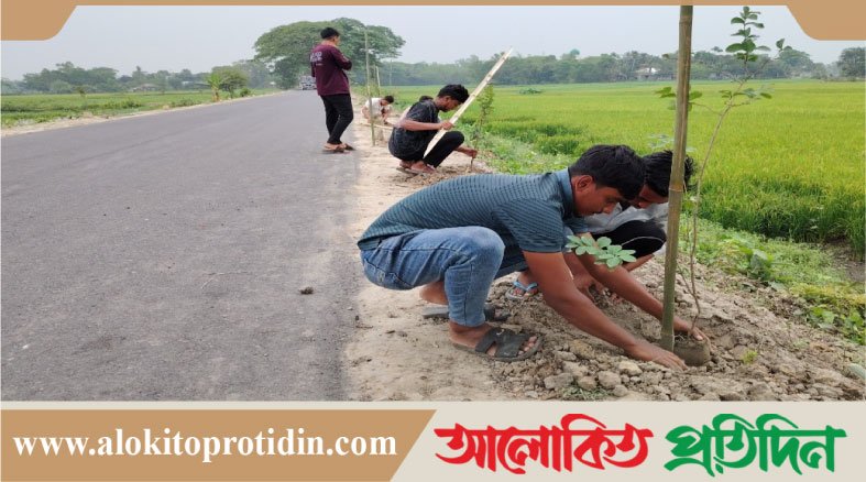 কুমিল্লার মুরাদনগরে সড়কের দুই পাশে ২০০ বৃক্ষ রোপণ