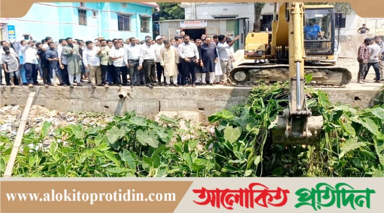 নবীনগরের আলীয়াবাদ খালে পরিষ্কার-পরিচ্ছন্নতা শুরু