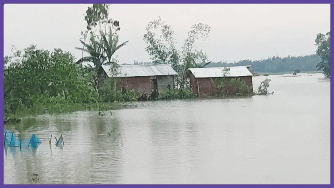বিপৎসীমার ওপরে ৫ নদীর পানি, ৫ জেলায় বন্যার আভাস