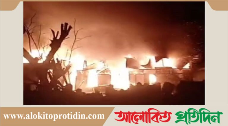 নবীনগরে অ*গ্নিকা*ণ্ডে বসতঘর পু*ড়ে অর্ধ কোটি টাকার ক্ষতি