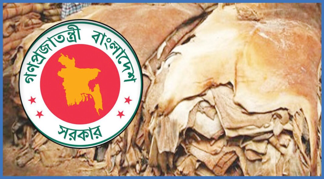 পশুর চামড়া ব্যবস্থাপনায় কঠোর পদক্ষেপ নিচ্ছে সরকার