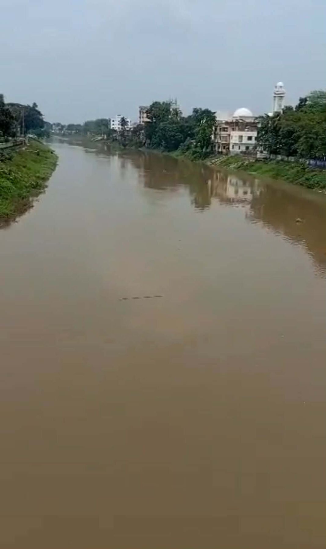 নওগাঁয় প্রাণ ফিরেছে ছোট যমুনায়: বর্ষার পানিতে নতুন রূপ নদীর