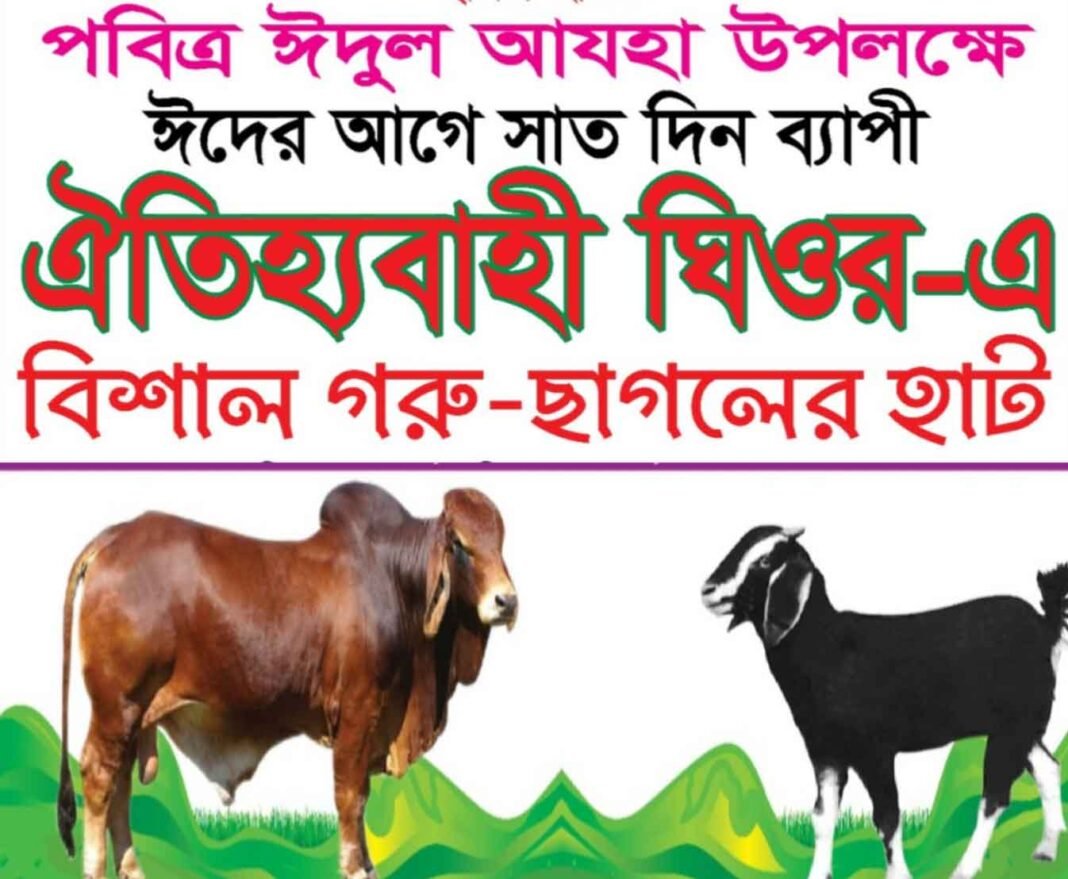২০০ বছরের ঐতিহ্য ফিরে পাচ্ছে ঘিওরের গরু-ছাগলের হাট