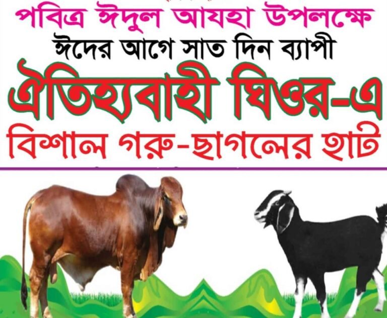 ২০০ বছরের ঐতিহ্য ফিরে পাচ্ছে ঘিওরের গরু-ছাগলের হাট