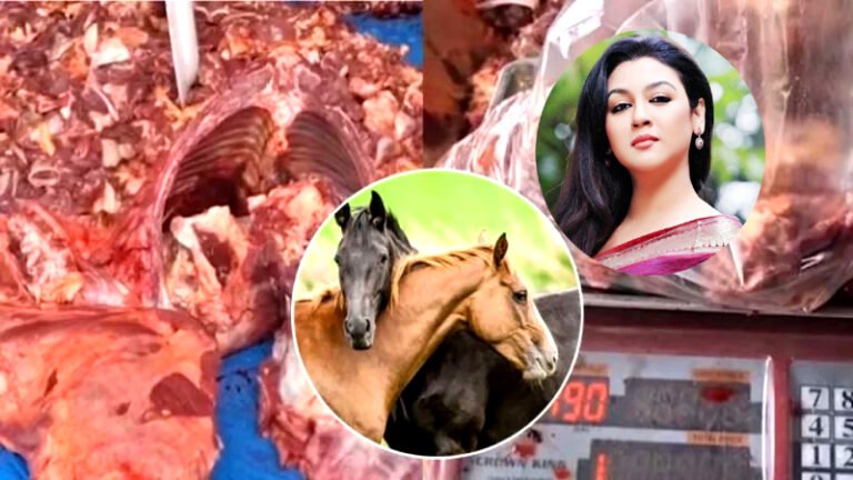 ঘোড়ার মাংস বিক্রি বন্ধে হাইকোর্টে রিট করলেন জয়া আহসান