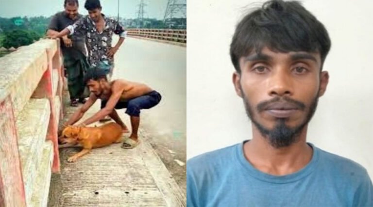 পশুর প্রতি নিষ্ঠুরতা, প্রধানমন্ত্রীর নির্দেশে অভিযুক্তের বি#রুদ্ধে ব্যবস্থা
