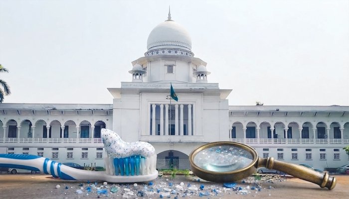 টুথপেস্টে মাইক্রোপ্লাস্টিক: তদন্তে তিন সদস্যের বিশেষজ্ঞ কমিটি গঠনের নির্দেশ হাইকোর্টের
