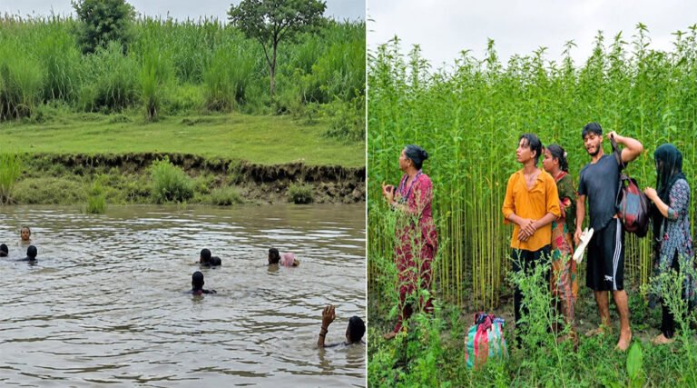 কুষ্টিয়া সী#মান্তে পুশইনের চেষ্টা প্রতিহত করল বিজিবি!
