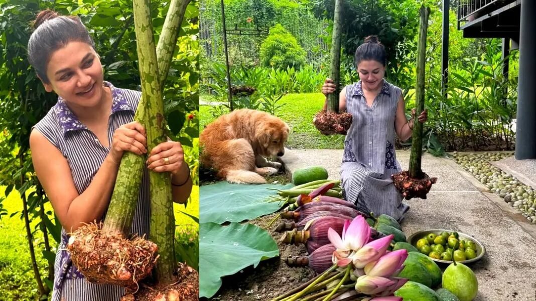 অভিনয়ের বাইরে কৃষিতে জয়ার ব্যস্ততা,উচ্ছ্বসিত অভিনেত্রীও