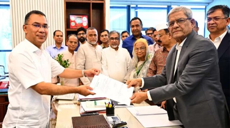 রাষ্ট্রপতি পদে বিএনপির মনোনয়ন পেলেন প্রার্থী মির্জা ফখরুল