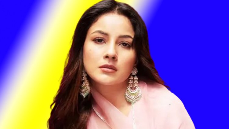 ভক্তের বুকে নিজের মুখের ট্যাটু দেখে অবাক শেহনাজ গিল