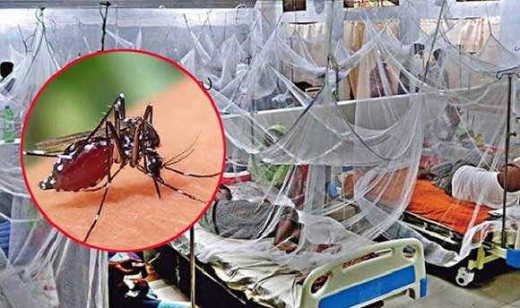 ডেঙ্গুতে ২৪ ঘণ্টায় ১০ জনের মৃ*ত্যু