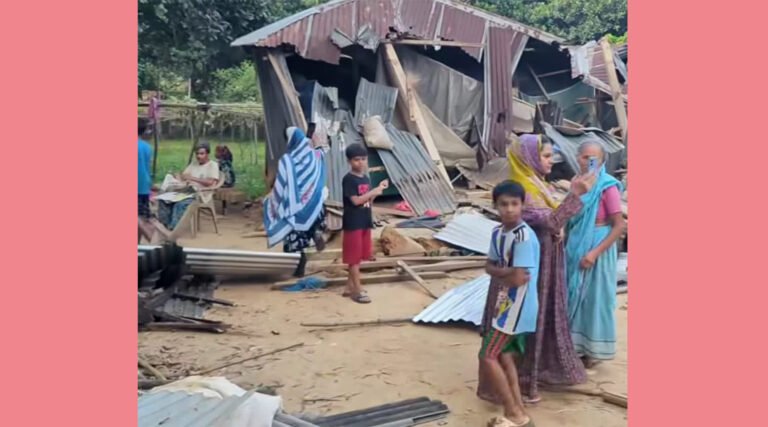 কালিয়াকৈরে সিনেমা স্টাইলে বুলডোজার দিয়ে প্রতিপক্ষের ঘরবাড়ী ভাঙচু*র
